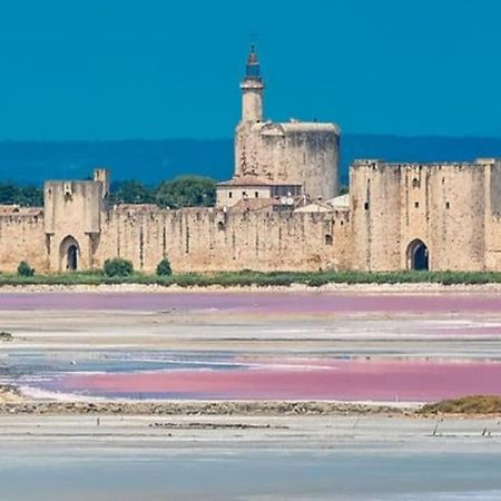 Studio En Petite Camargue Le Cailar Esterno foto